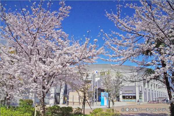 桜満開！春満開！ 八戸ノ里公園
