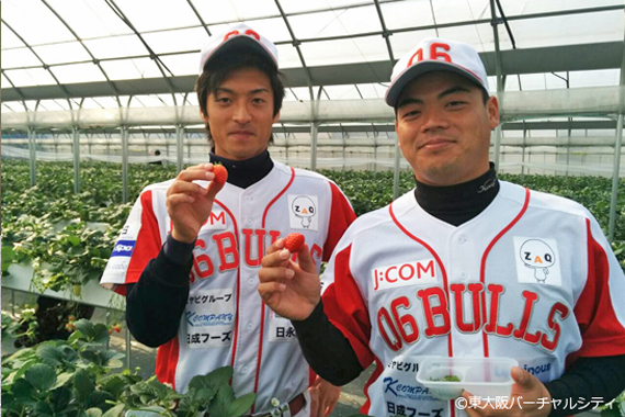 2015.02.08(日) 東大阪バーチャルシティ「東大阪 de イチゴ狩り」