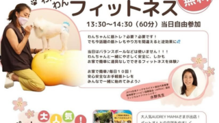 3/15 癒しフェスタ 主催:日本ドッグセラピスト協会