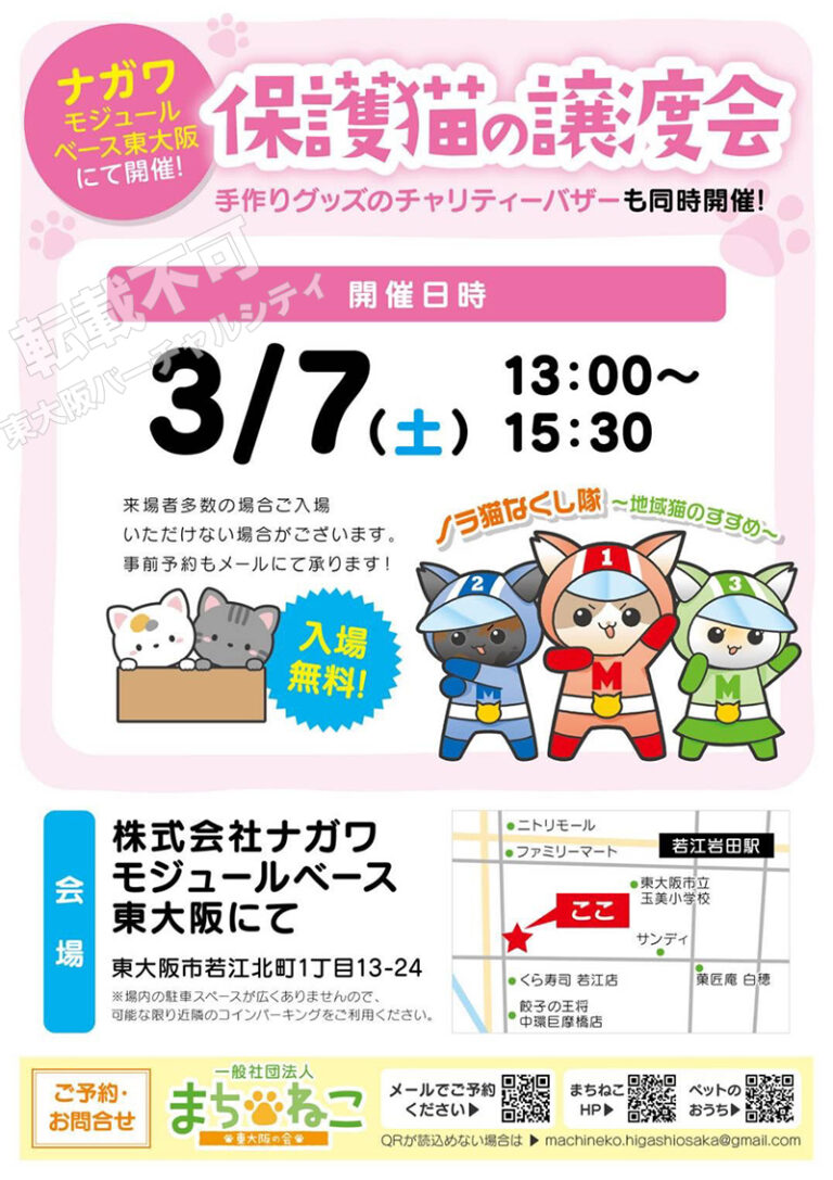 3/7 保護猫の譲渡会　主催：一般社団法人まちねこ東大阪の会
